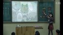 йܳǅ^|n꼉Unit 4 We love animals Part B Let's