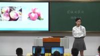 《花錢的學(xué)問2購物場所我知道》小學(xué)品德與社會人教版-福建省南平