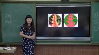 《裝飾色彩》小學美術人美版-武漢市