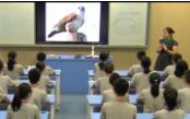 第三章《保護生物的多樣性》初中生物人教版-重慶市長征學校