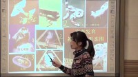 第二節《昆蟲的生殖和發育》初中生物人教版-天津