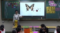 湘美課標版四年級上冊14.《蝴蝶落我家》-湖北省國家及優質課