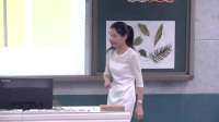 小學(xué)美術(shù)人教版二年級下冊第8課《葉子上的小“血管”》-湖南省 - 郴州國家級優(yōu)質(zhì)課錄像視頻