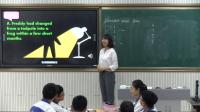 高中英語人教課標版B2U5 Freddy the Frog寧夏