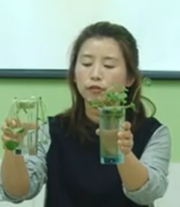Kưϵµڶ(ji)GɫֲL(zhng)Ҫˮ͟o(w)C(j)}_Kʡ - 