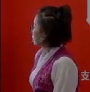 高中生物說課稿及視頻_探究環境因素對光合作用的影響_西藏