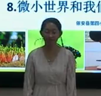 ̿ưСW(xu)ƌW(xu)꼉(j)(c)8n΢С҂- 